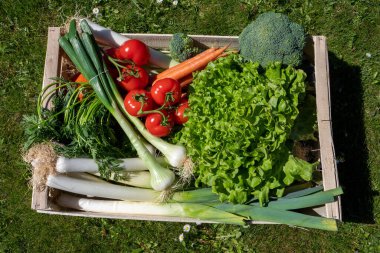 Tahta bir sandıkta mevsimlik sebzeler