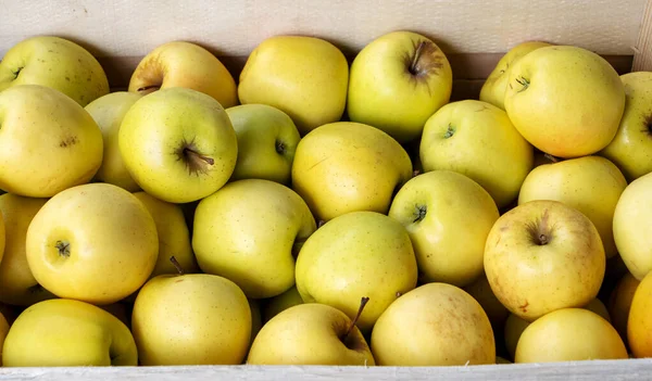 Čerstvá Zlatá Jablka Dřevěné Bedně — Stock fotografie