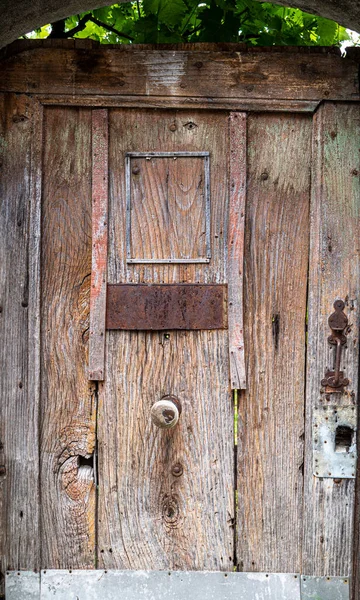 Rustic Old Wooden Door Covered Foliage — Stock Photo, Image