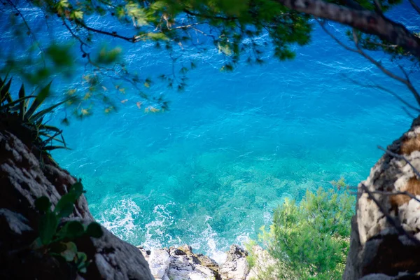 Türkisches Meer zwischen den Bäumen — Stockfoto