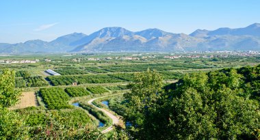 kırpma alanları görüntüleme