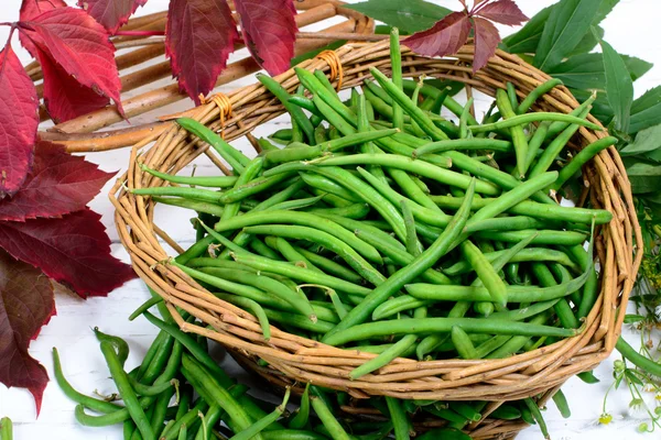 Cesto di fagiolini — Foto Stock