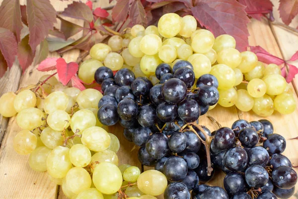 Uvas negras y blancas — Foto de Stock