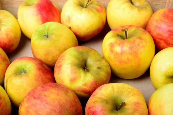 사과 사과주 만들기 위해 — 스톡 사진