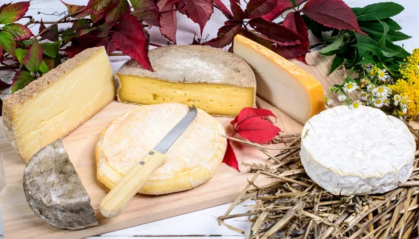 Různé francouzské sýry vyráběné v horách Alp — Stock fotografie