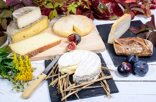 Camembert de Normandía con diferentes quesos franceses — Foto de Stock