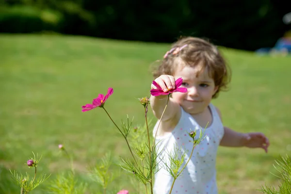 庭の花で遊んでいるかわいらしい女の子 — ストック写真