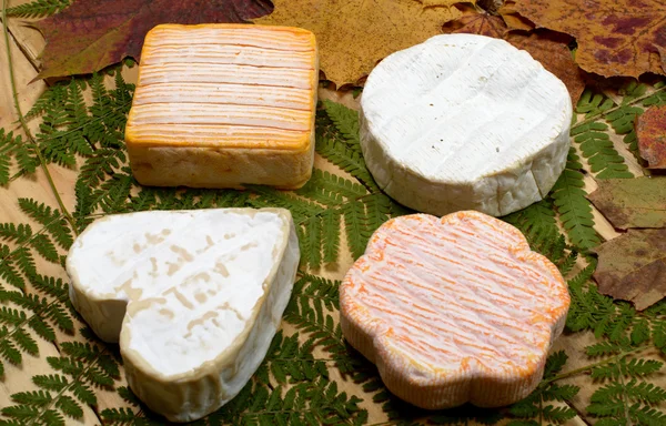 Verschillende Franse kazen geplaatst op een houten tafel — Stockfoto