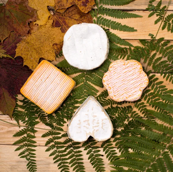 Different French cheeses placed on a wooden table — Stock Photo, Image