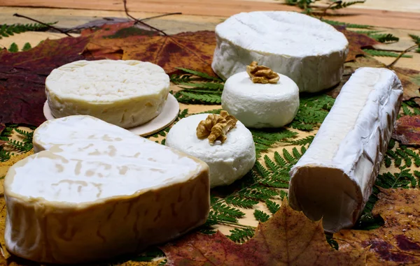 Different French cheeses placed on a wooden table — Stock Photo, Image