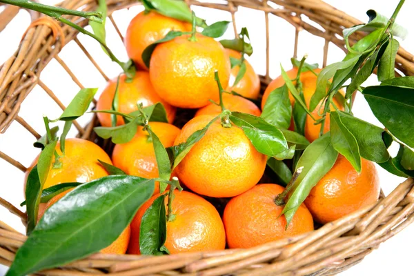 Pequena cesta cheia de laranjas de tangerina — Fotografia de Stock