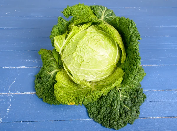 stock image cabbage