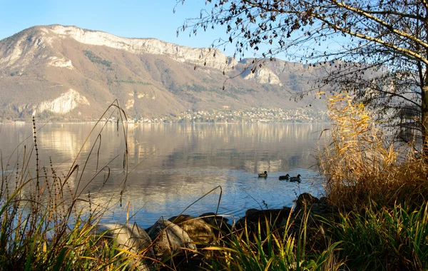 Jezioro Annecy we Francji jesienią o zachodzie słońca — Zdjęcie stockowe