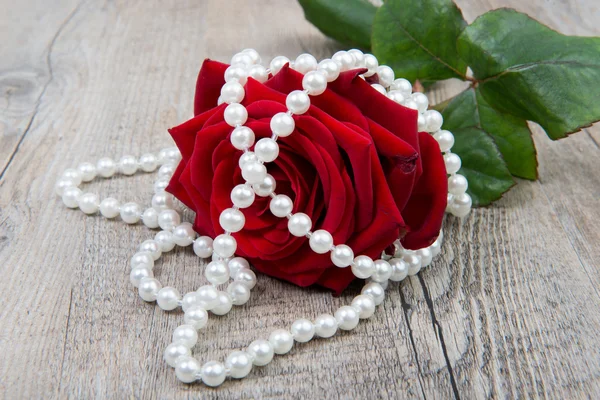 A rose and a pearls necklace for Valentine 's Day — стоковое фото