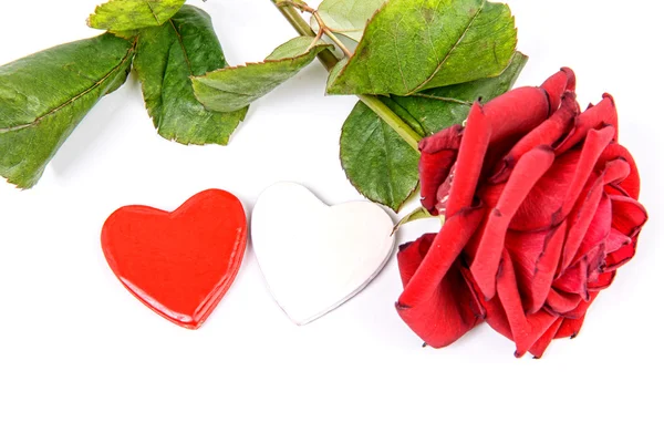 Harten en rose voor Valentijnsdag — Stockfoto