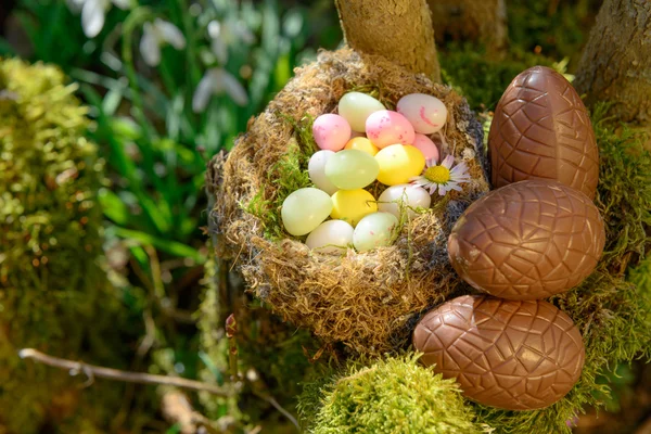 Huevos de Pascua en un jardín —  Fotos de Stock