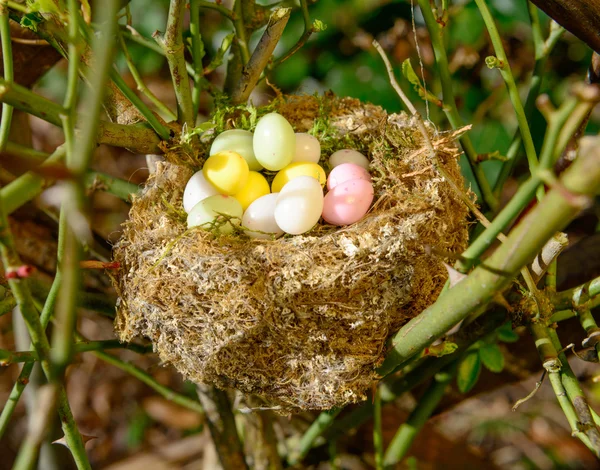 Ovos de Páscoa em um ninho — Fotografia de Stock