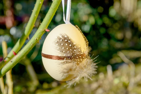 Easter egg hung in the branches — Stock Photo, Image