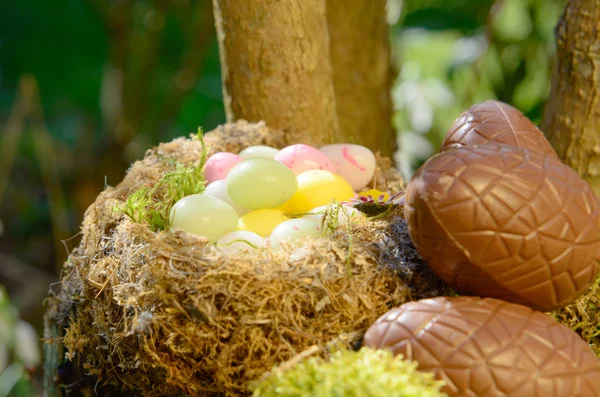Easter eggs in the garden — Stock Photo, Image
