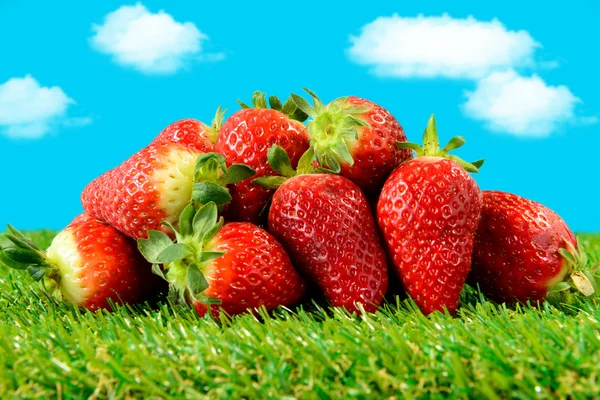 Several strawberries on green grass — Stock Photo, Image