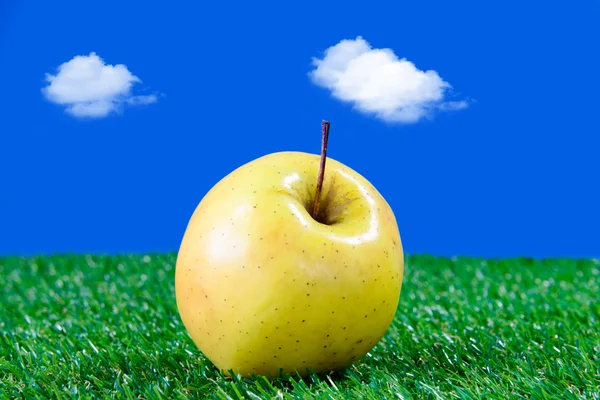 Yellow apple on green grass — Stock Photo, Image