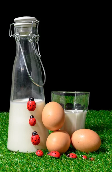 牛奶和鸡蛋 — 图库照片