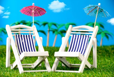 iki küçük şezlong çimenlerin üzerinde