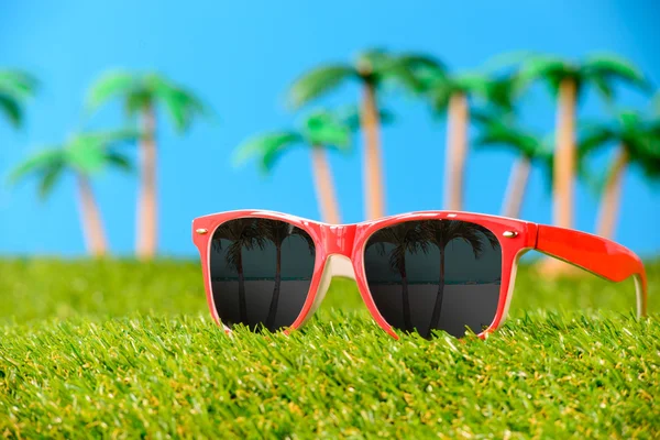 Zonnebril op gras met palmbomen — Stockfoto