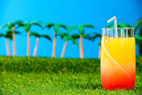 Jus d'orange cocktail met palmbomen — Stockfoto