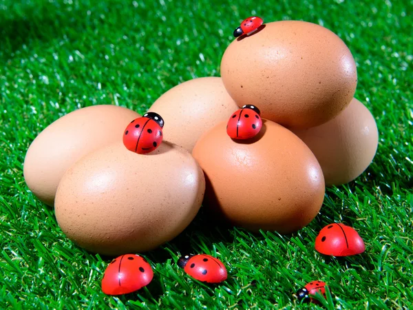 Sex färska ägg i gräset — Stockfoto