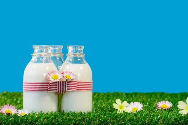 Tiga botol kecil susu di padang rumput — Stok Foto