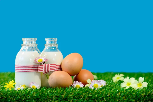 Tres pequeñas botellas de leche y huevos en la hierba — Foto de Stock