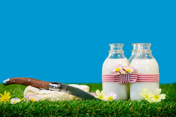 Three bottles with a cheese milk in the grass — Stock Photo, Image