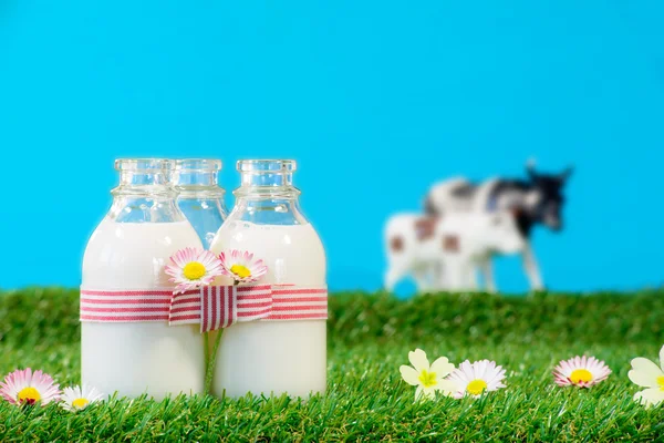 Three small bottles of milk in a meadow — Stock Photo, Image