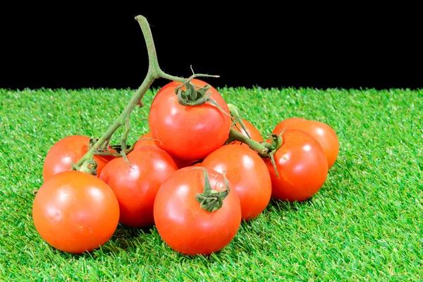 Tomato bunch on grass — Stock Photo, Image