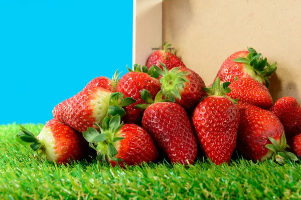 Several strawberries on green grass — Stock Photo, Image