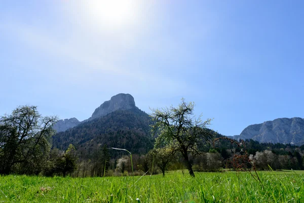 Prato con una montagna di sfondo — Foto Stock