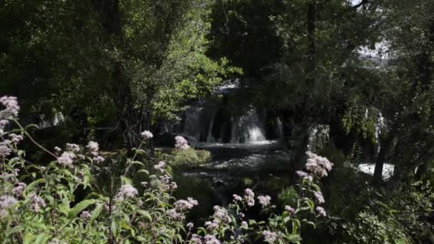 Hermosa cascada de agua caen en la montaña — Vídeo de stock