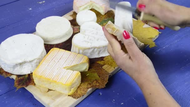 Een jonge vrouw voorbereiding een sneetje brood en kaas — Stockvideo