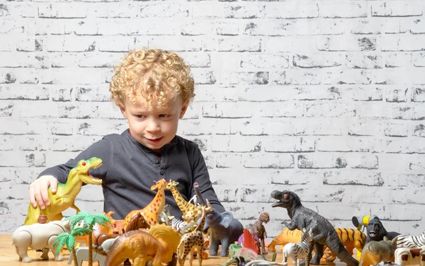 A little child plays with toys animals — Stock Photo, Image