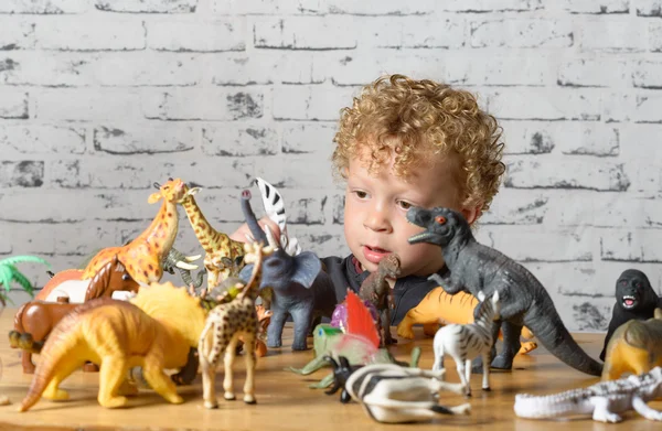 Маленький ребенок играет с игрушками животных — стоковое фото