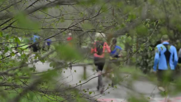 Δρομείς στο μαραθωνίου δρόμου — Αρχείο Βίντεο