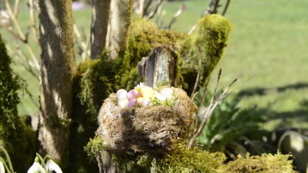 Пасхальні яйця в гнізді в саду — стокове відео