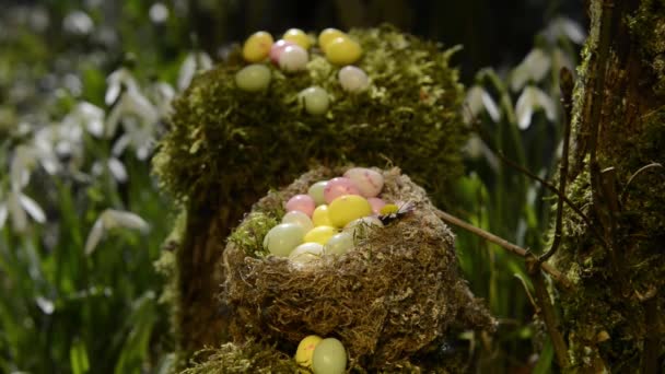 Пасхальные яйца в гнезде в саду — стоковое видео