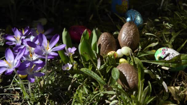 Huevos de Pascua en un nido en el jardín — Vídeo de stock