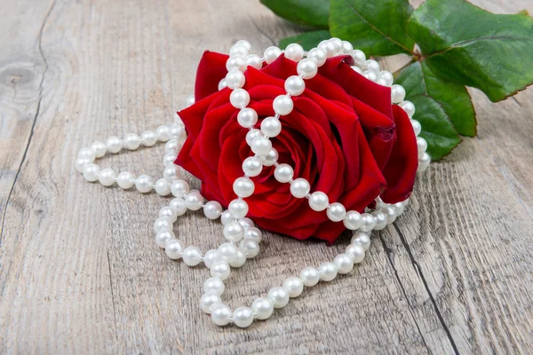 Red rose placed on an antique table — Stock Photo, Image