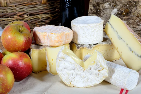 French cheeses with apples in the background — Stock Photo, Image