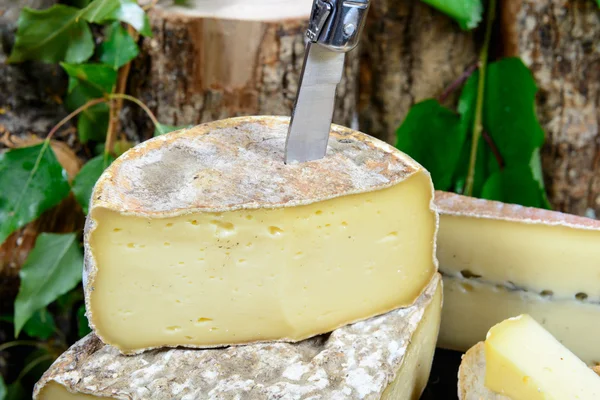 French cheeses Savoie — Stock Photo, Image