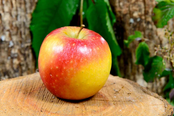 Apple na kusu dřeva — Stock fotografie