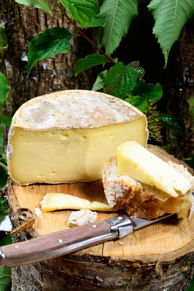 フランスのサヴォワ県のチーズ — ストック写真